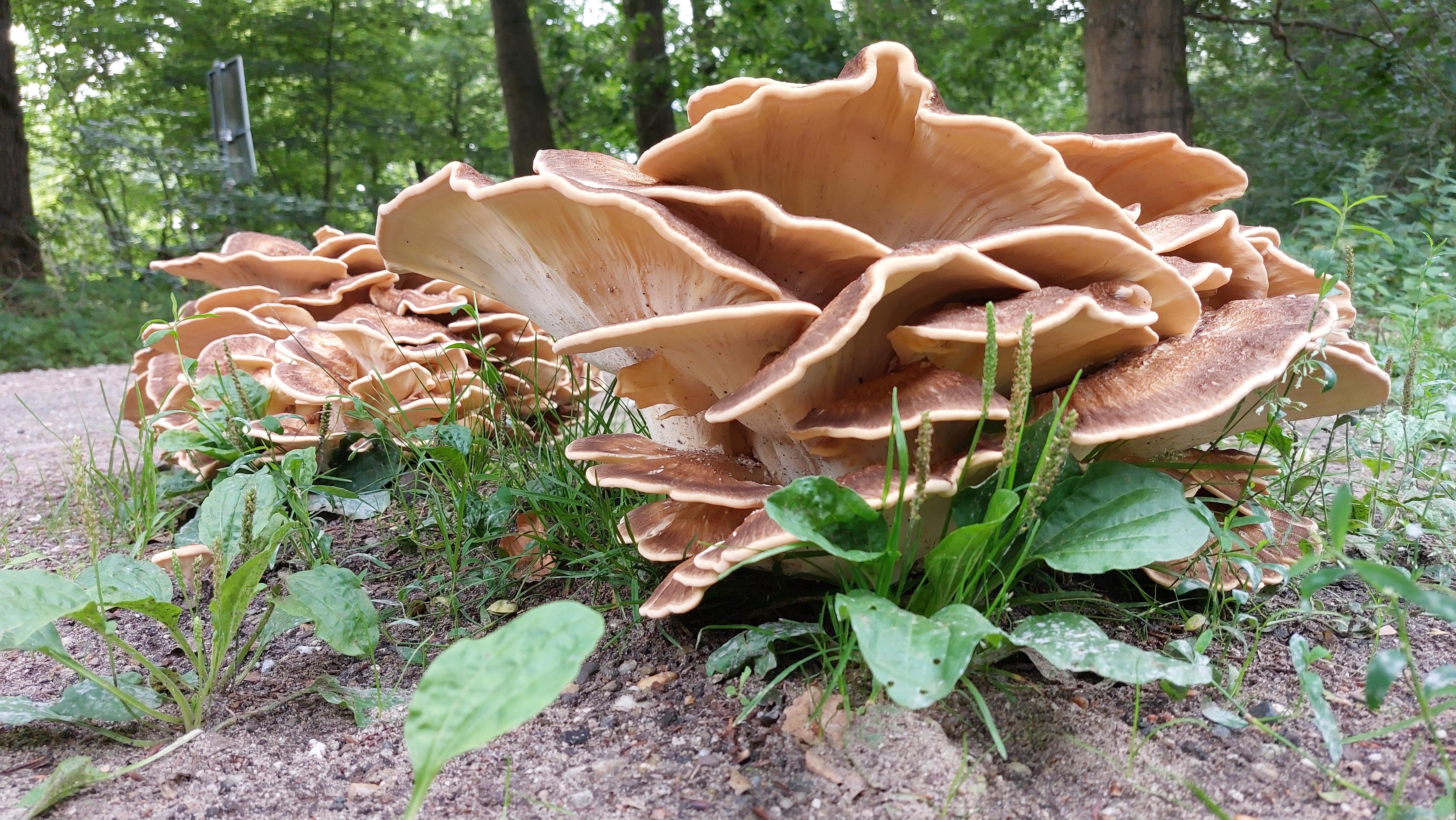 image images/20250808_104341.jpg